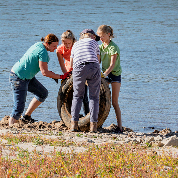 Rhein CleanUp_erfolgreich ausgebuddleter Reifen am Rhein