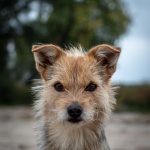 Wenn Lola unsere Sachen bewacht, traut sich sicher keiner in die Nähe