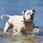 Herr Schroeder brauchte nach der Maloche erstmal ne Abkühlung